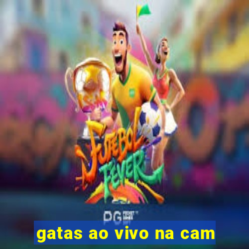 gatas ao vivo na cam