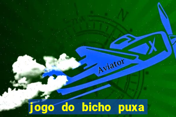 jogo do bicho puxa de dona maria