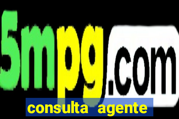 consulta agente autuador sp