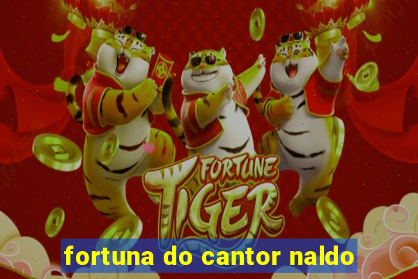 fortuna do cantor naldo