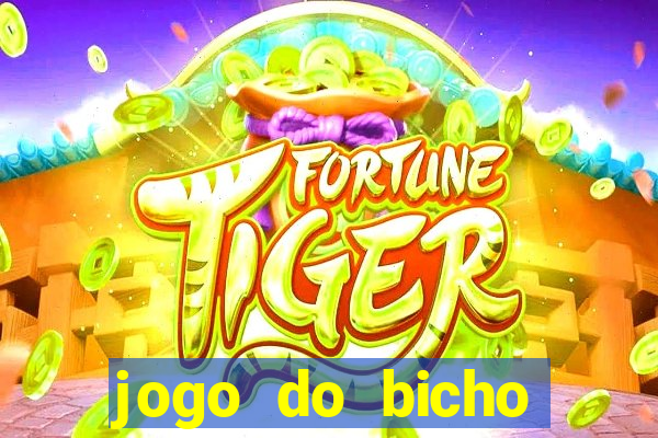 jogo do bicho crash bingo